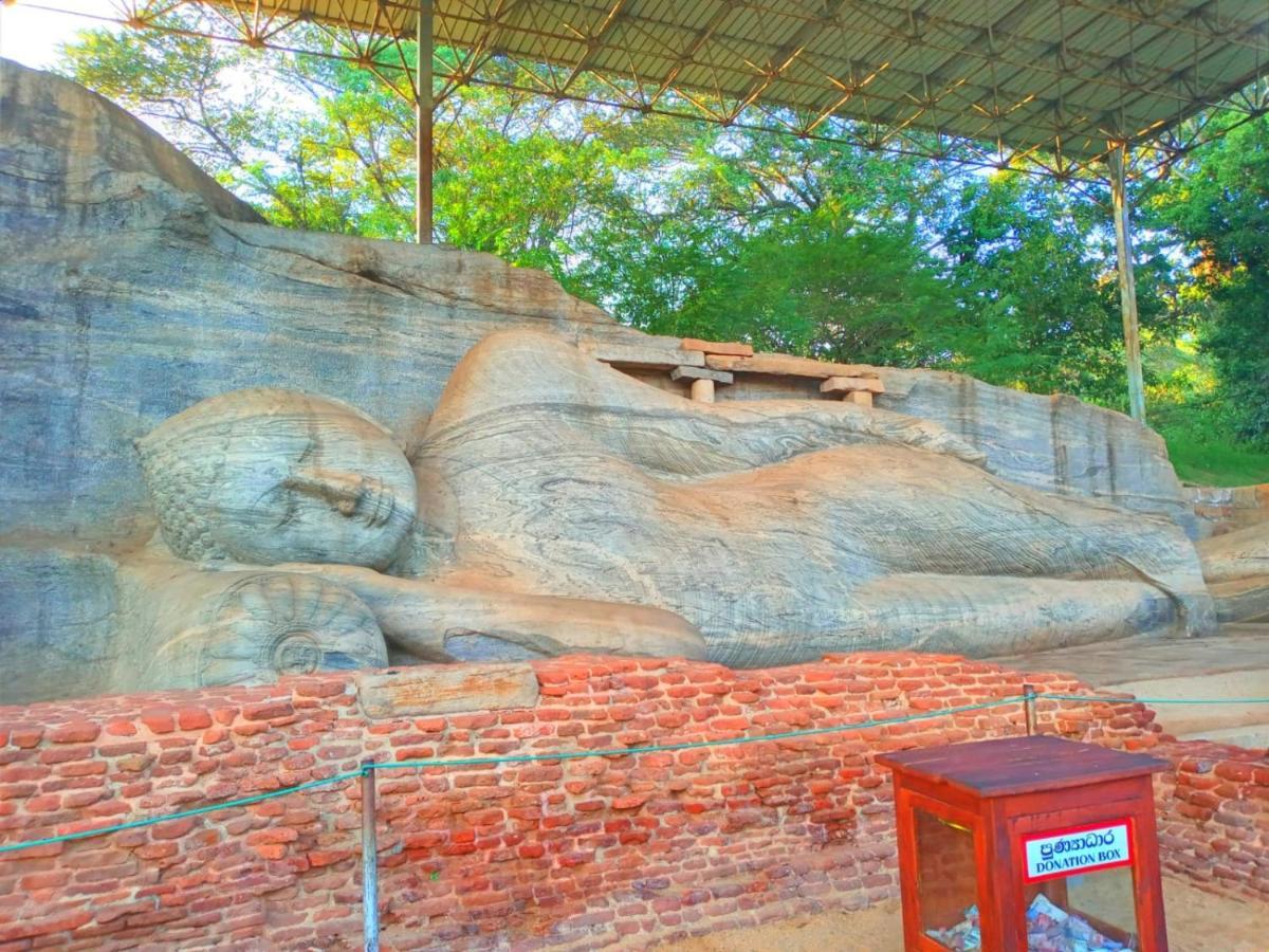 Royal Nest Bed & Breakfast Polonnaruwa Exterior foto